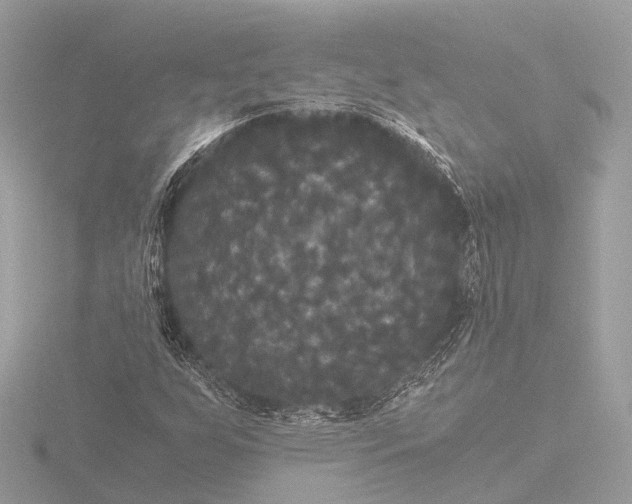 X0000116441255200912221517
