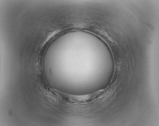 X0000116441256200912221517