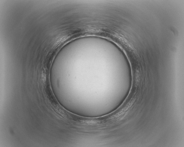 X0000116441257200912221517