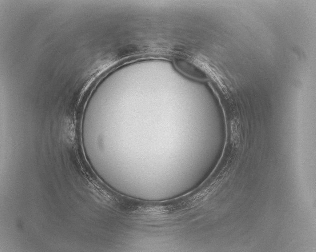X0000116441260200912221517