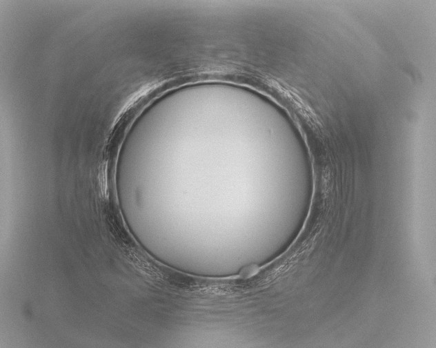 X0000116441262200912221517