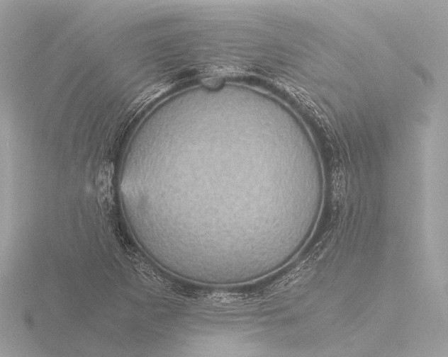 X0000116441265200912221517