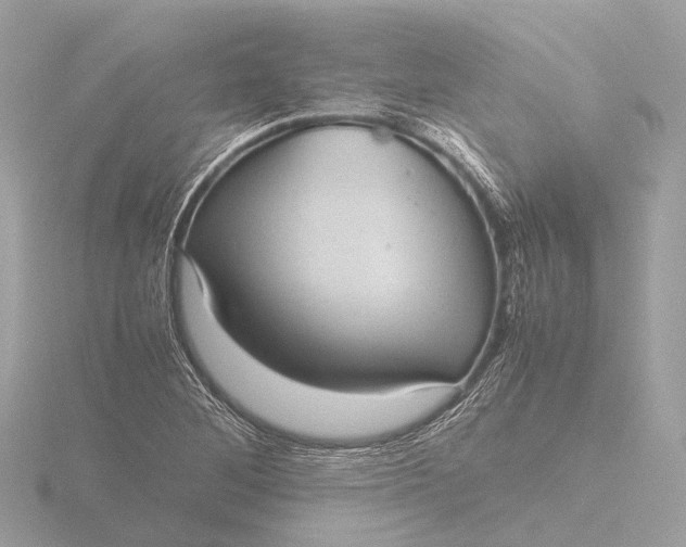X0000116441268200912221517