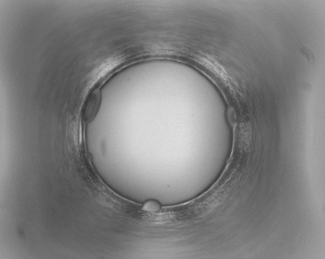 X0000116441269200912221517