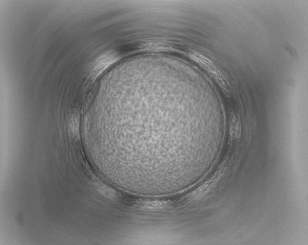 X0000116441273200912221517