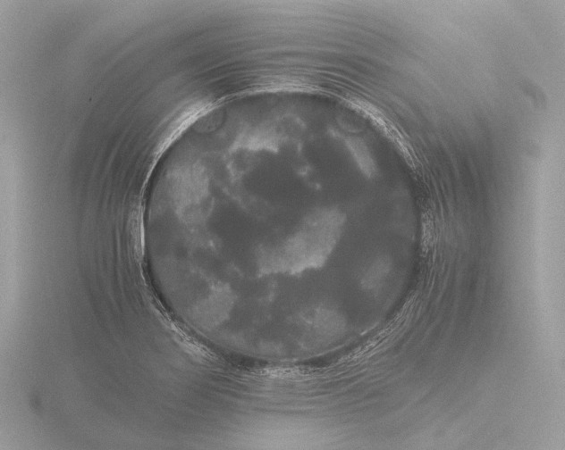 X0000116441274200912221517