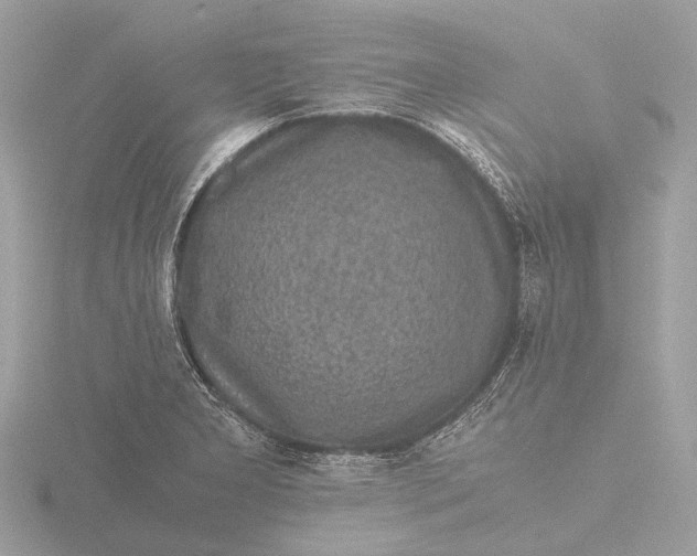 X0000116441277200912221517