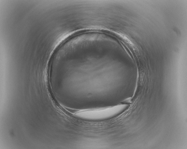 X0000116441279200912221517