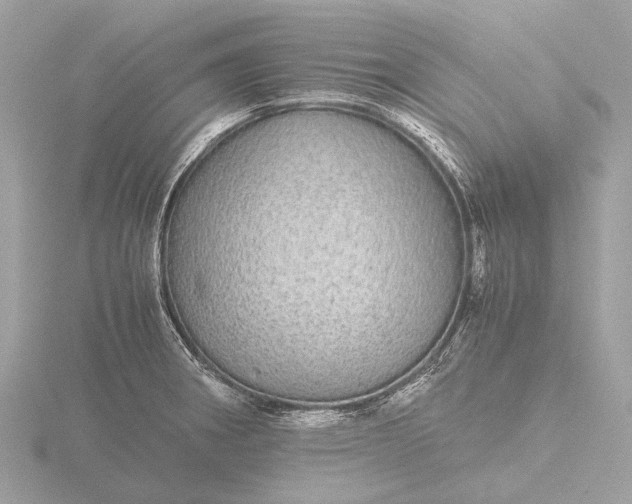 X0000116441282200912221517