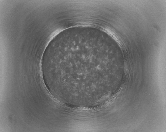 X0000116441283200912221517