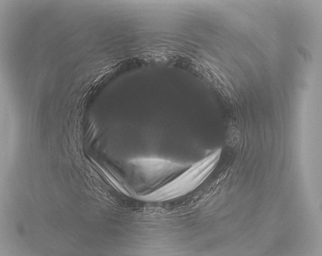 X0000116441297200912221516