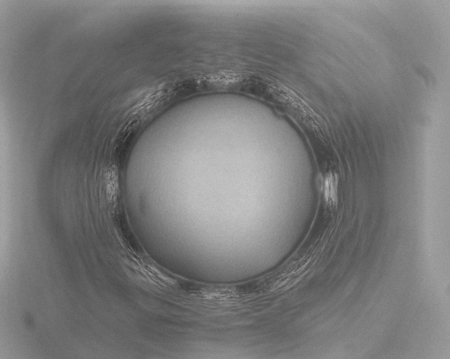 X0000116441299200912221516