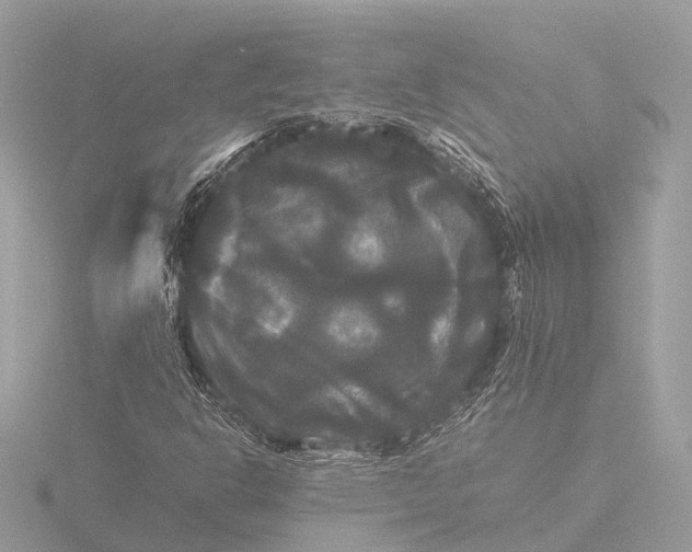 X0000116441302200912221516