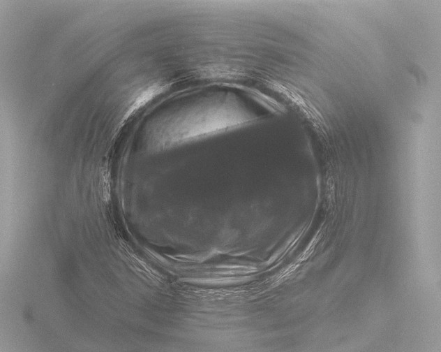 X0000116441306200912221516