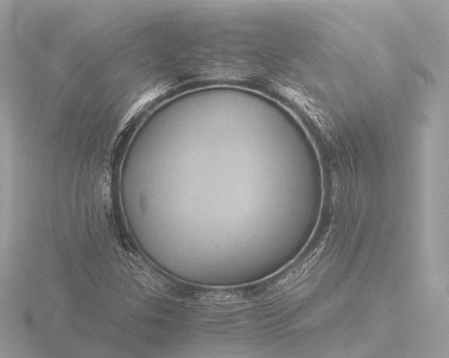 X0000116441307200912221517