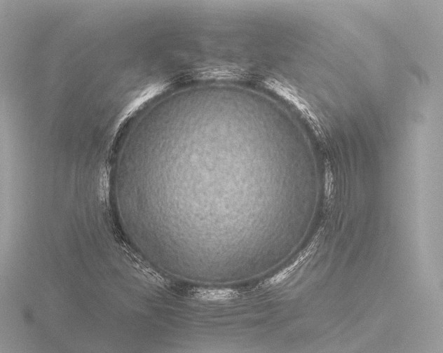 X0000116441309200912221517