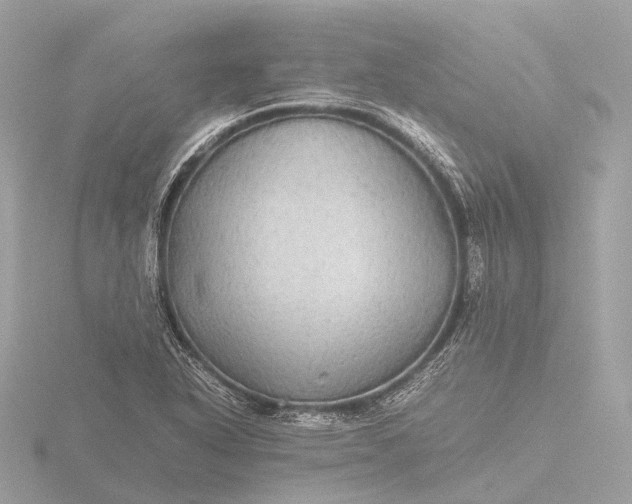 X0000116441318200912221517