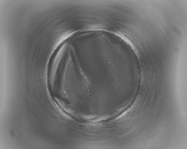 X0000116441333200912221517