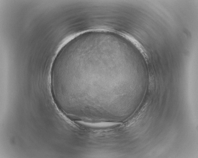 X0000116441335200912221517