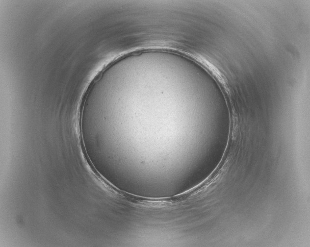 X0000116441342200912221517