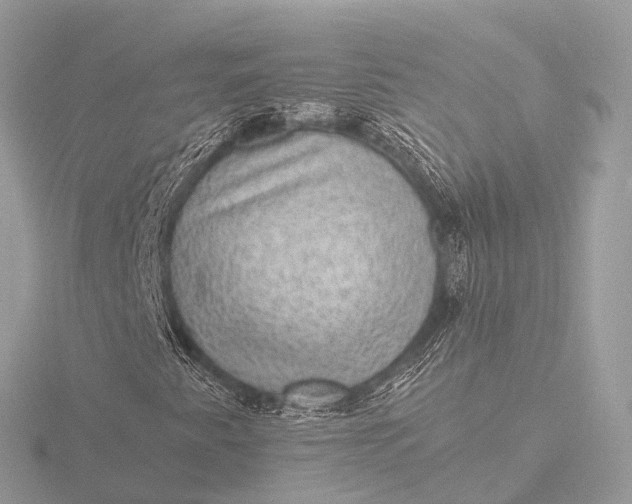 X0000116441345200912221516