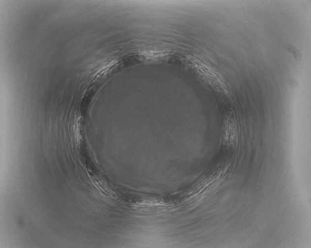 X0000116441346200912221516