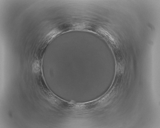X0000116441353200912221516