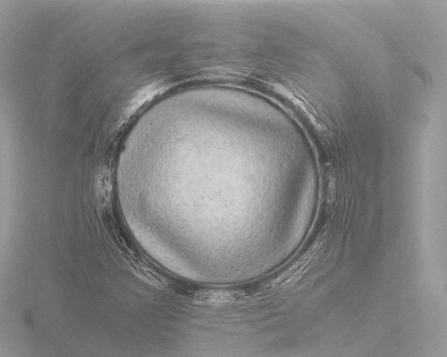 X0000116441355200912221516