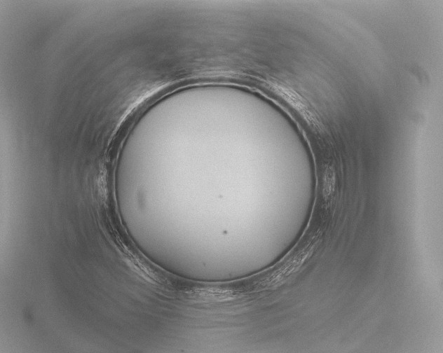 X0000116441356200912221516