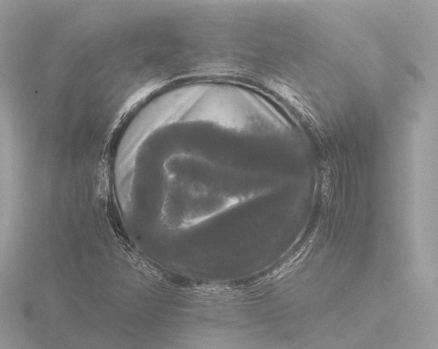 X0000116441358200912221516