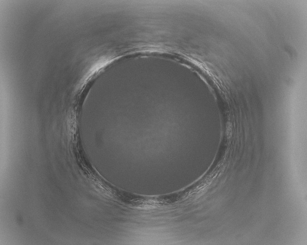 X0000116441359200912221516