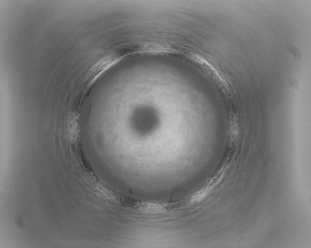 X0000116441361200912221516