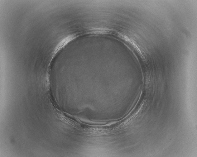X0000116441362200912221516