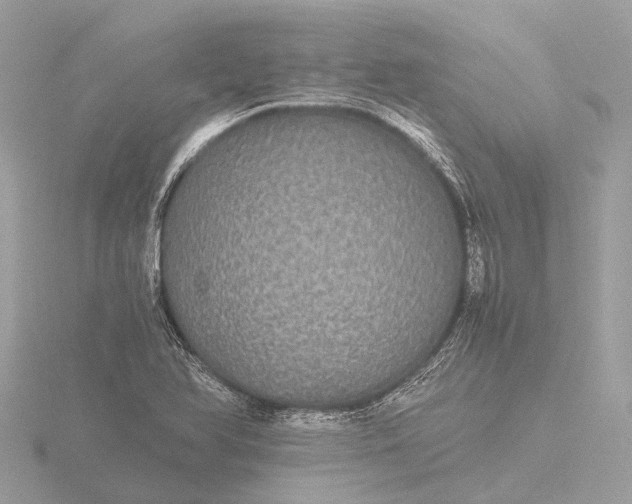 X0000116441366200912221516