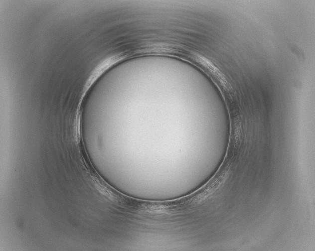 X0000116441370200912221516