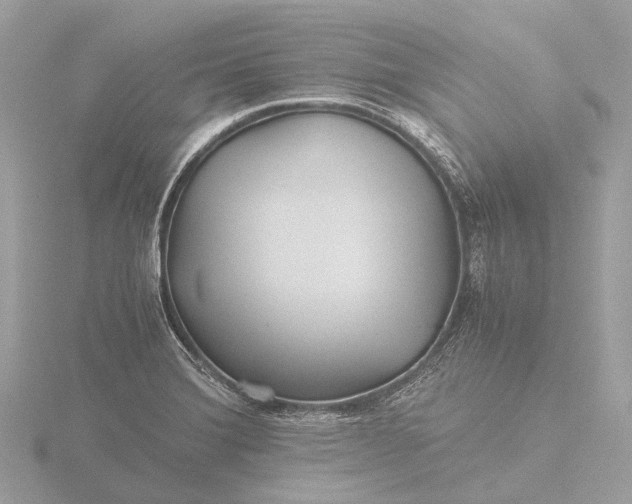 X0000116441372200912221516