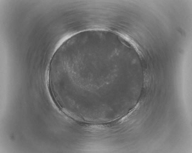 X0000116441383200912221516