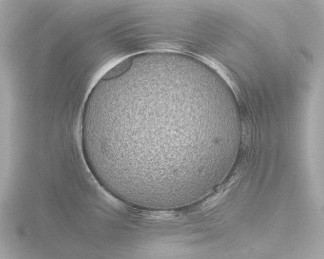 X0000116441387200912221516