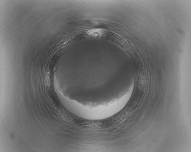 X0000116441394200912221515
