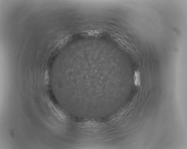 X0000116441395200912221515