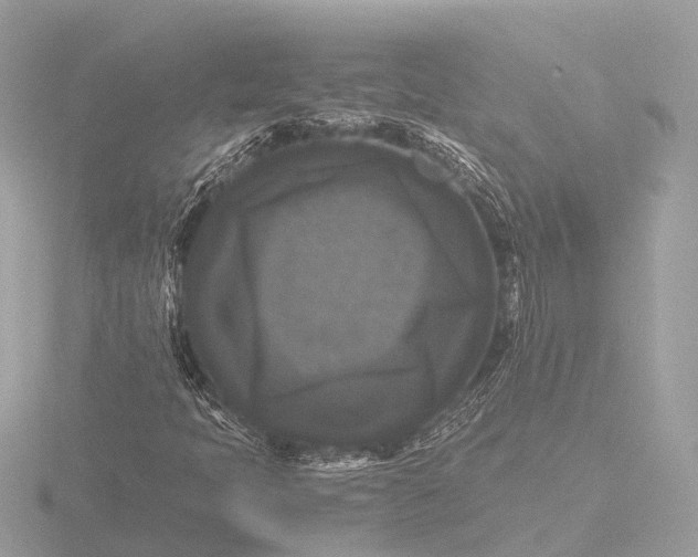X0000116441397200912221515