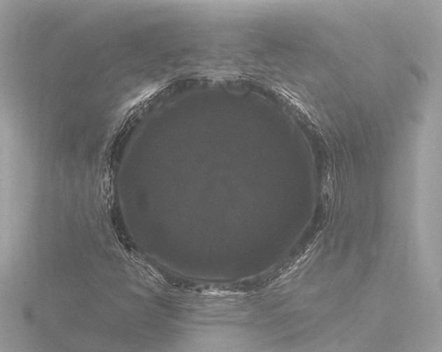 X0000116441398200912221515