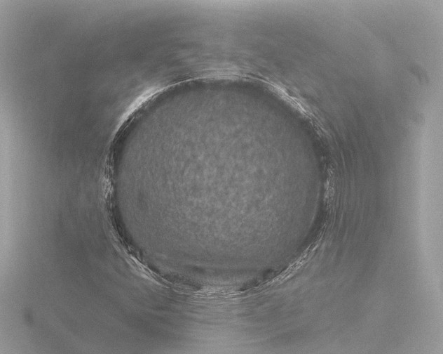 X0000116441400200912221515