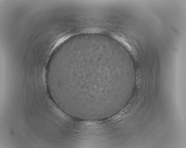 X0000116441404200912221515