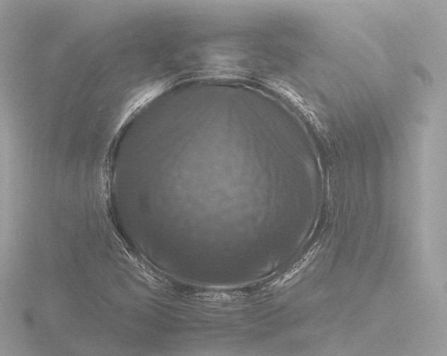 X0000116441405200912221515