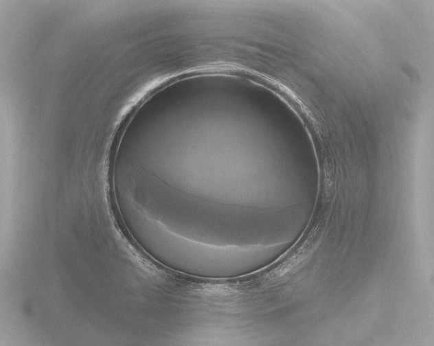 X0000116441422200912221516