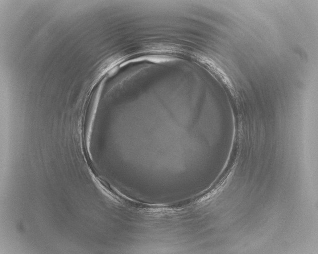 X0000116441425200912221516