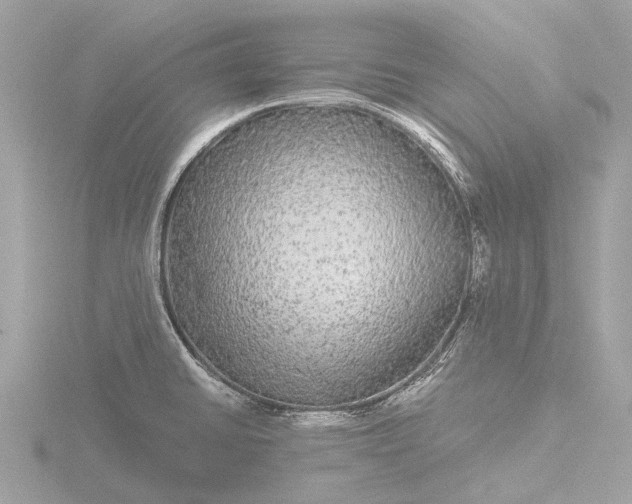 X0000116441430200912221516