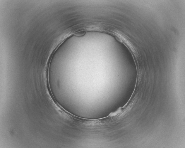 X0000116441434200912221516