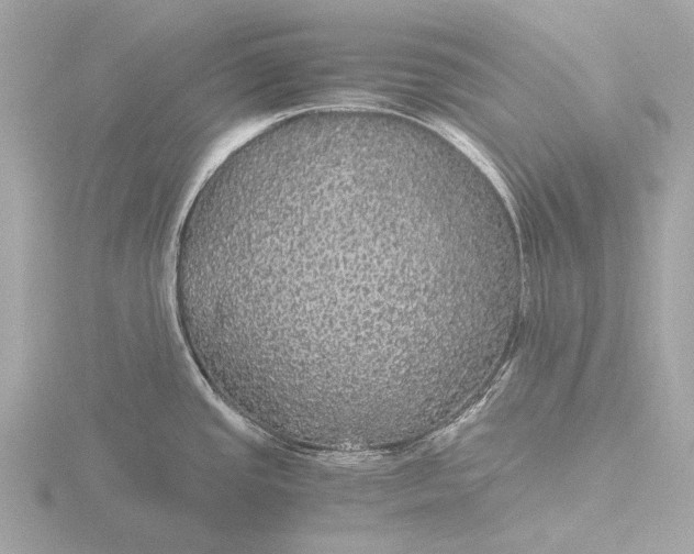 X0000116441437200912221516